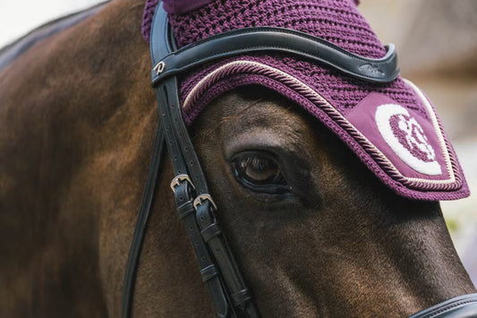 Close-up of a horse's face wearing a purple fly veil with a logo.