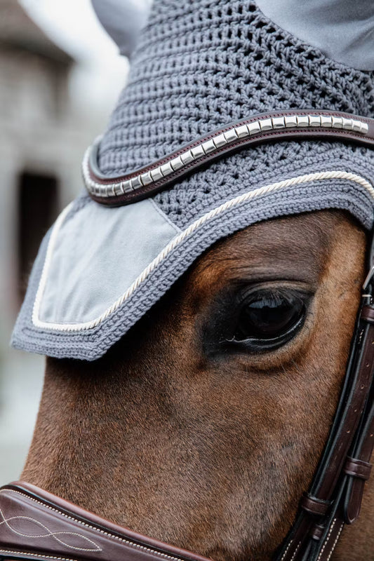 Close-up of a horse wearing a gray riding helmet with a blurred background