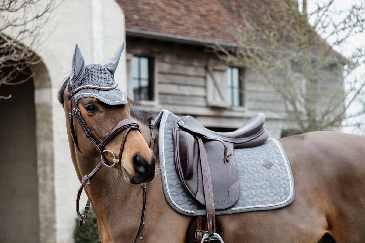 Horse with a bridle and saddle pad standing in front of a rustic building.
