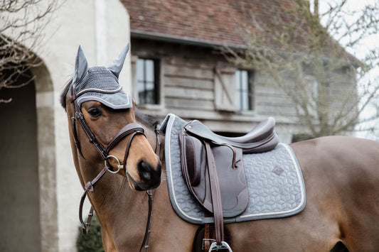 Horse with a bridle and saddle pad standing in front of a rustic building.
