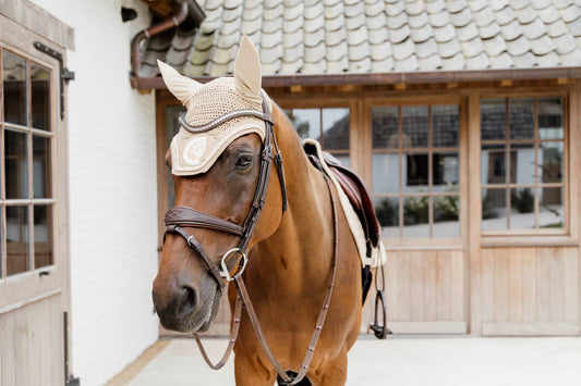 Brown horse wearing a bridle and beige fly veil in front of a stable