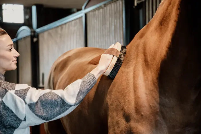 person grooming horse with brown kentucky brush in a stable yard