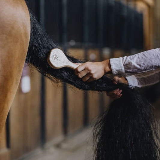 Boomerang Equestrian - Kentucky Grooming Deluxe Mane & Tail Brush