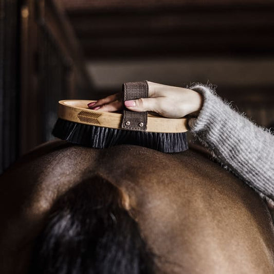 horse grooming brush brushing a horse in a dimly lit stable background