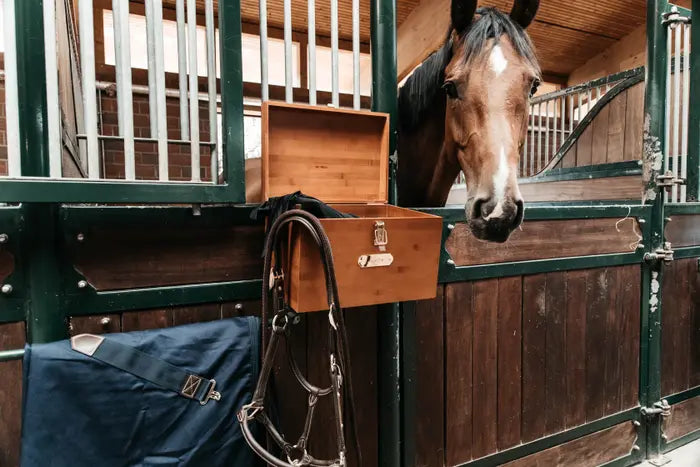 stable grooming box hanging on wooden door with iron posts, horse looking over the door and a headcollar and rug hanging on the stable