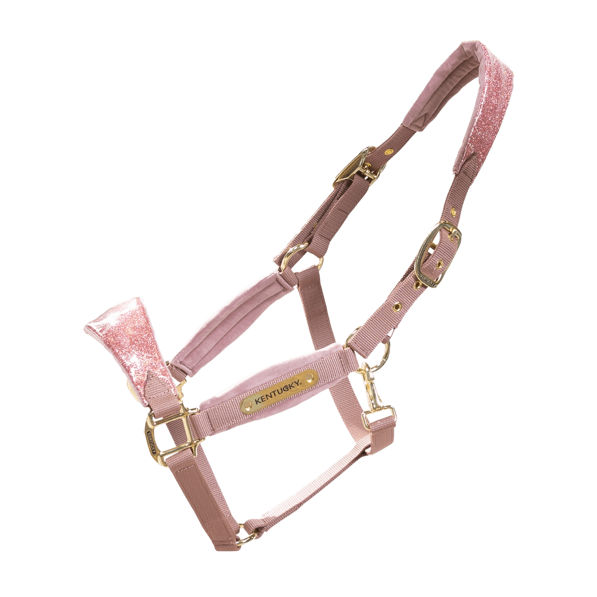Pink horse halter with gold hardware on a black background