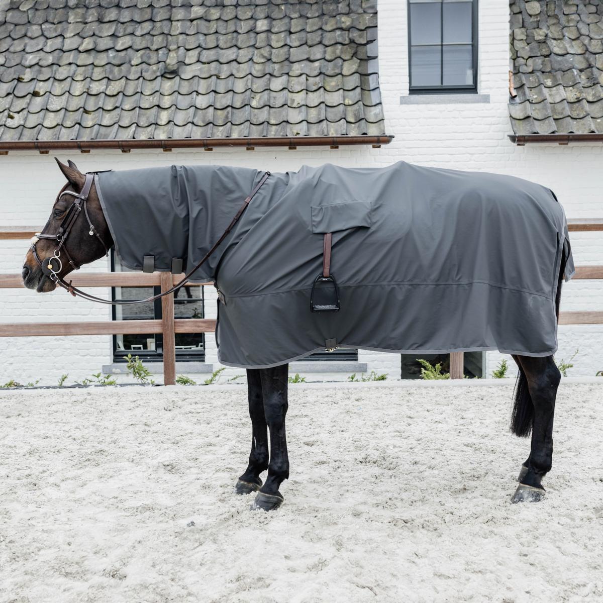 Horse wearing a gray rug in an outdoor setting with a building in the background