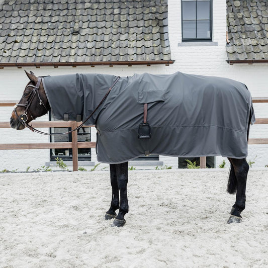 Horse wearing a gray rug in an outdoor setting with a building in the background