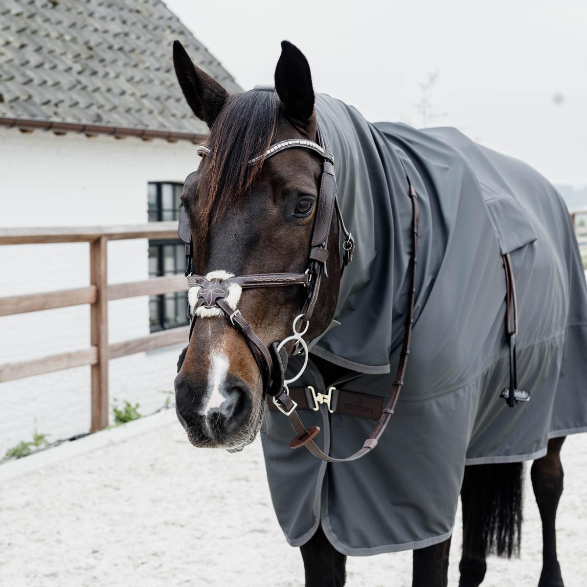 Horse wearing a gray rug in front of a white building