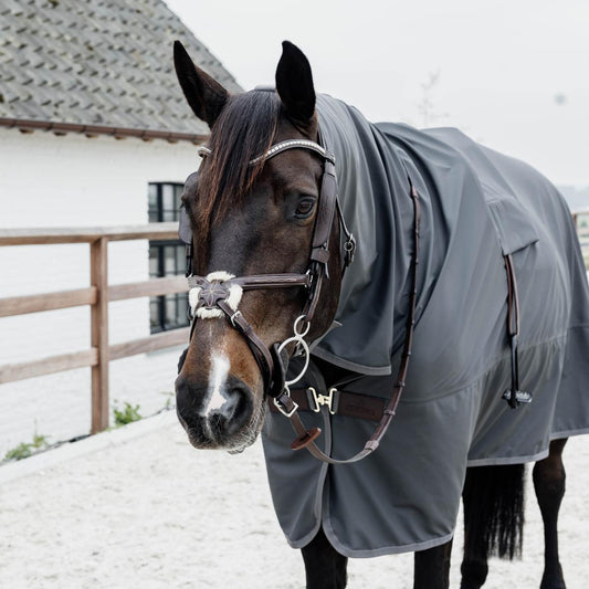 Horse wearing a gray rug in front of a white building