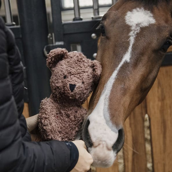 Kentucky Horse Toy Teddy Bear - ONESIZE - Horse Toy