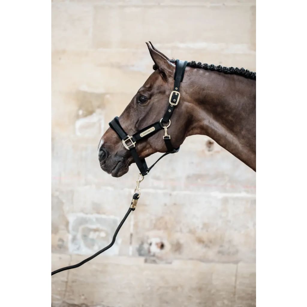 Boomering Ropes Kentucky Lead Rope Basic Black - Boomerang Equestrian