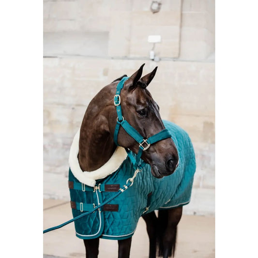 Boomerang Equestrian - Kentucky Lead Rope Basic Emerald