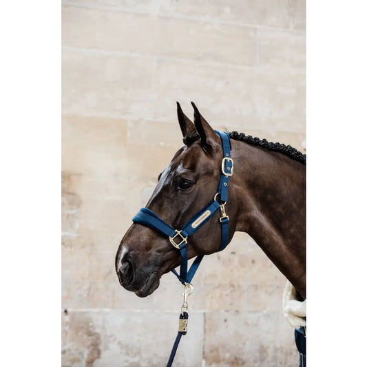 Boomerang Equestrian - Kentucky Lead Rope Basic Navy