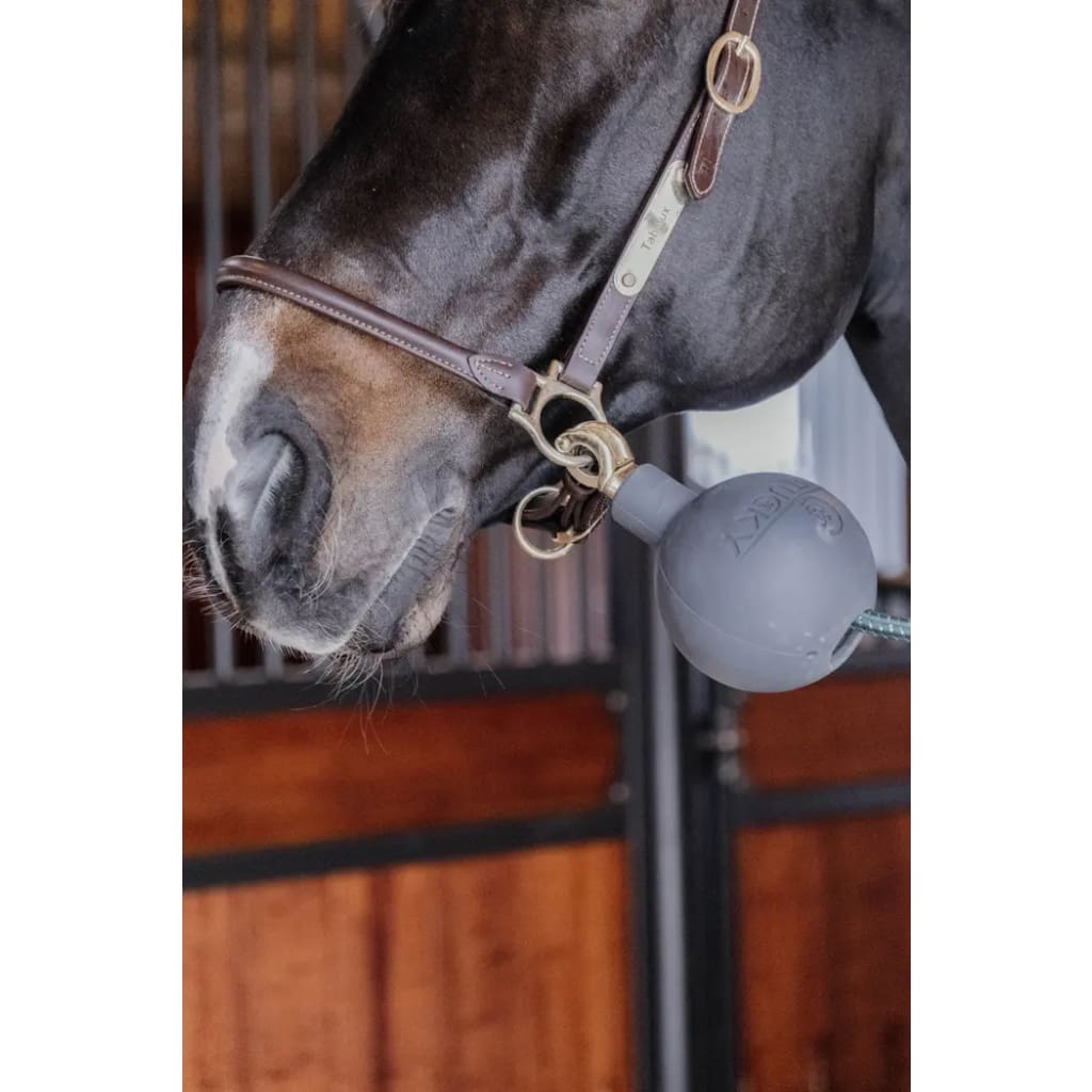 Boomerang Equestrian - Kentucky Lead & Wall Protection Rubber Ball Black