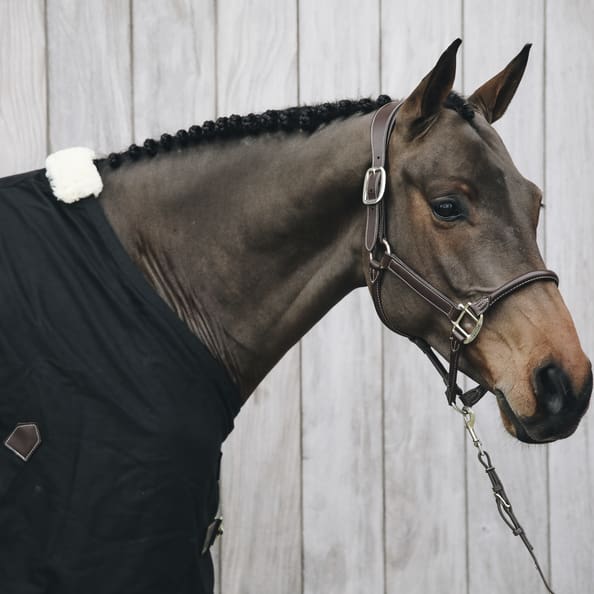 Kentucky Leather Anatomic Halter Brown - FULL - Head Collar