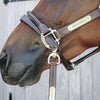 Kentucky Leather Covered Chain Lead Brown - ONESIZE / BROWN - Stallion Lead