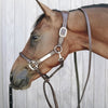 Kentucky Leather Covered Chain Lead Brown - ONESIZE / BROWN - Stallion Lead