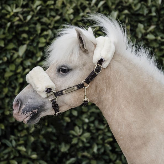 Boomerang Equestrian - Kentucky Leather Halter Sheepskin Brown
