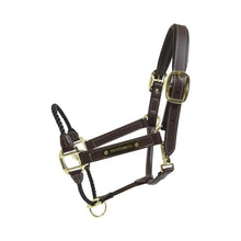  Kentucky Leather Rope Halter Brown - FULL - Head Collar