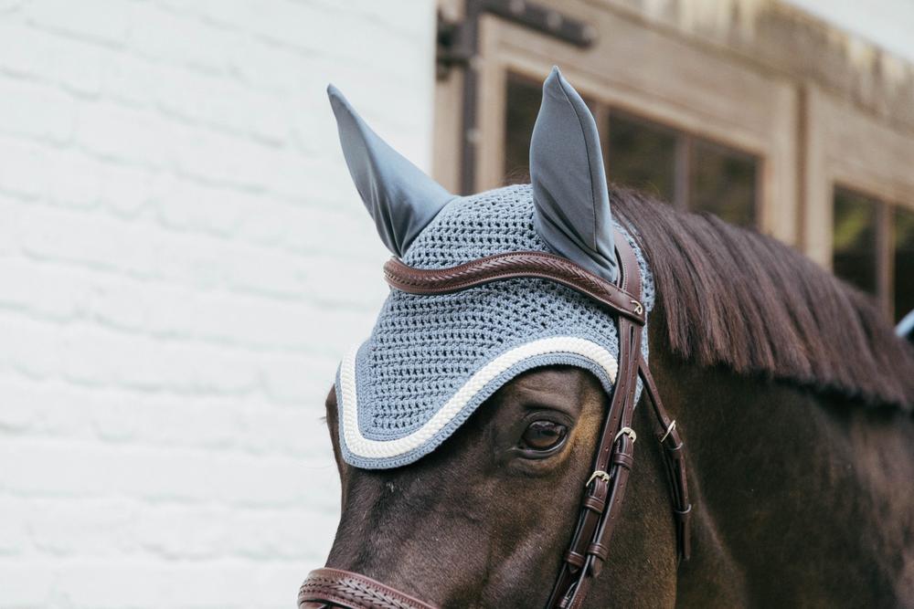 Horse wearing a gray fly mask with ear flaps in front of a building.