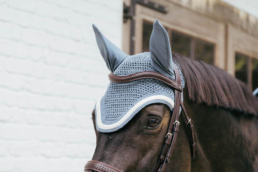 Horse wearing a gray fly mask with ear flaps in front of a building.