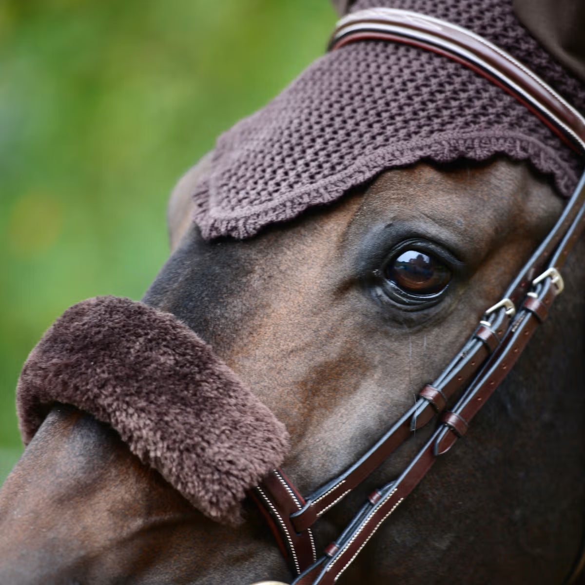 Close-up of a horse's head wearing a brown bridle and protective hood.