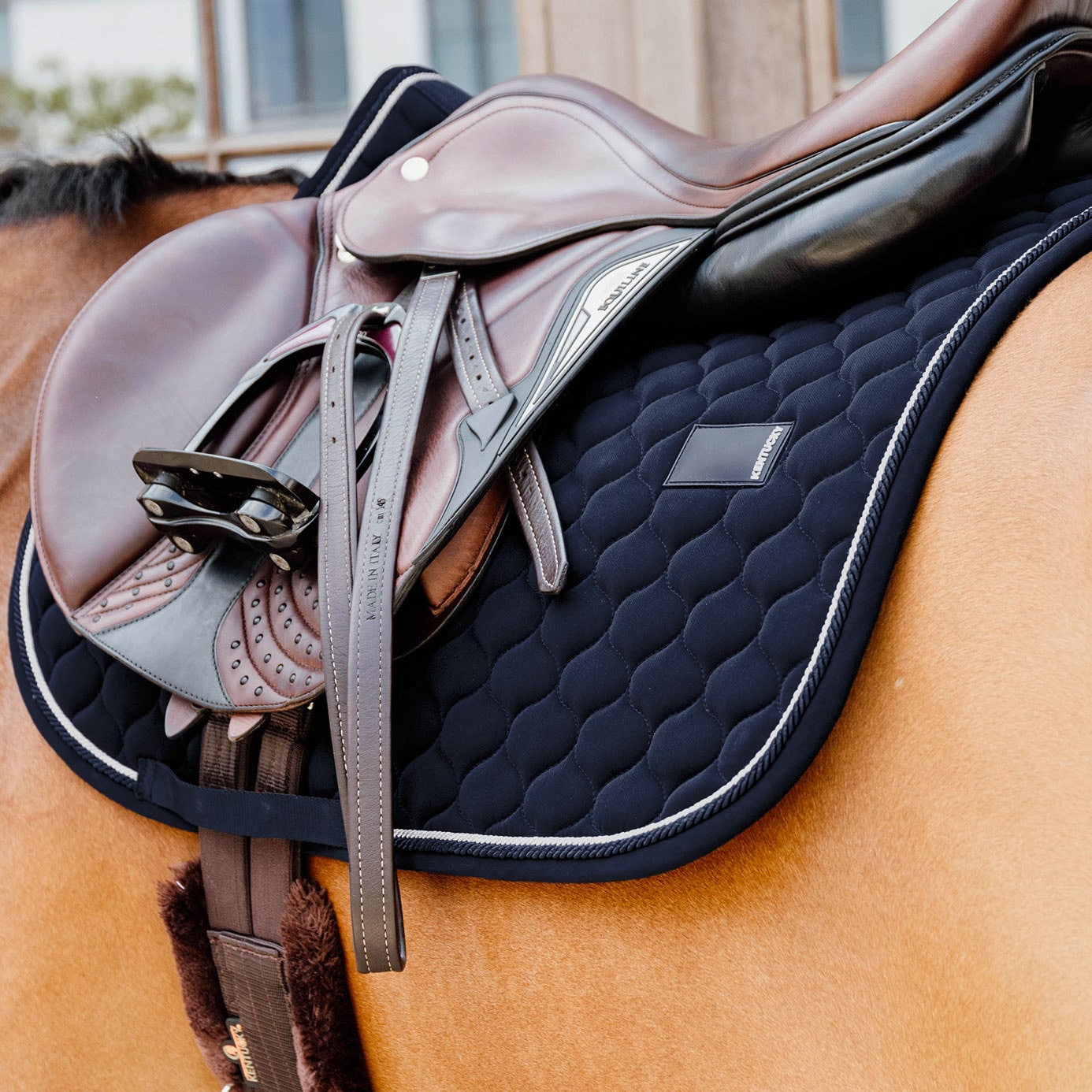 navy saddle pad with kentucky logo on the back