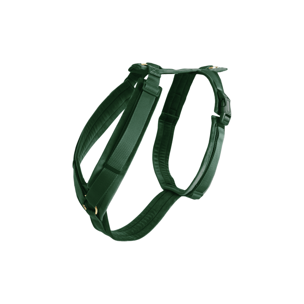 Green dog harness on a transparent background