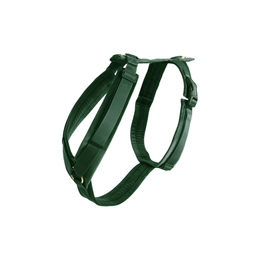 Green dog harness on a transparent background