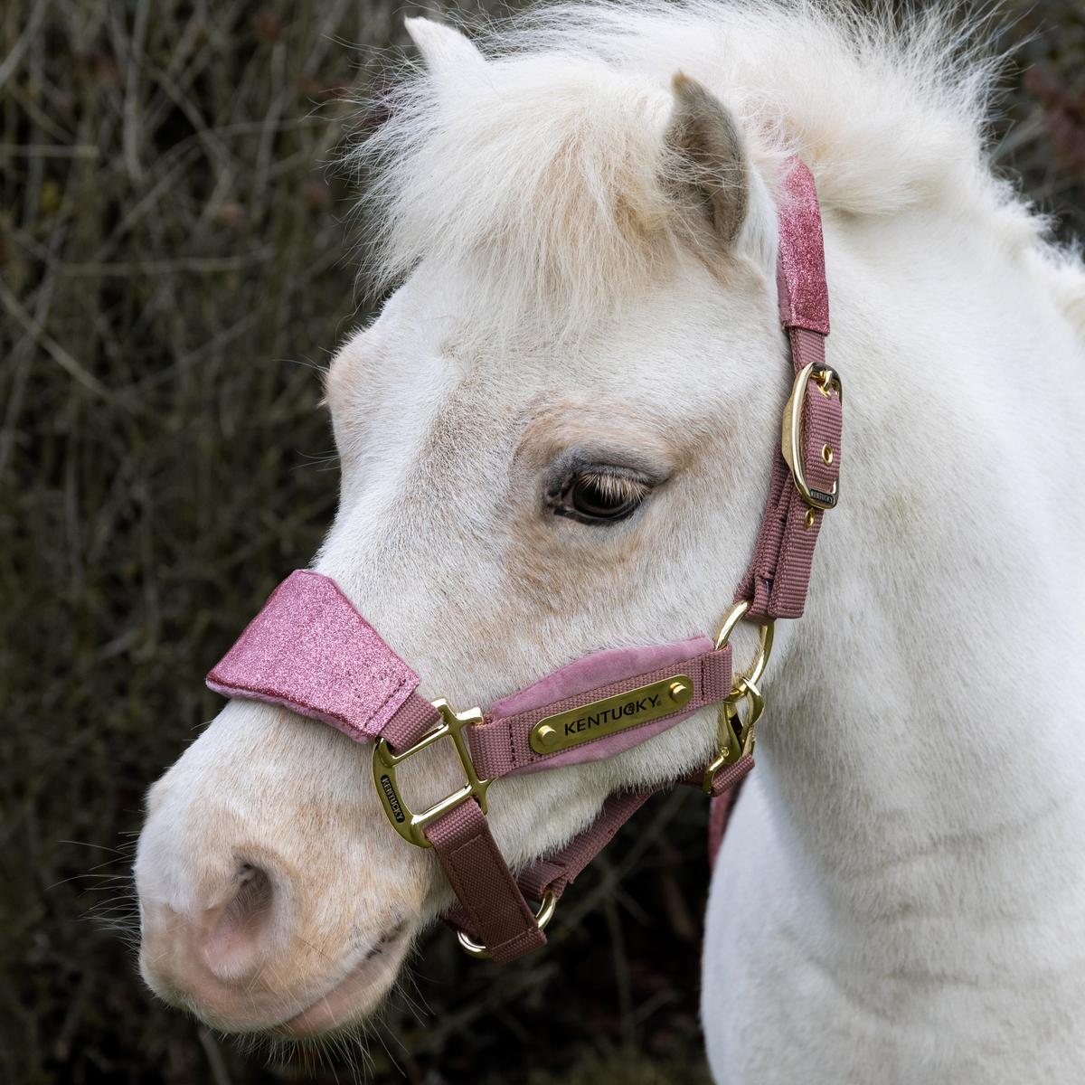White horse wearing a pink halter with gold hardware against a blurred natural background