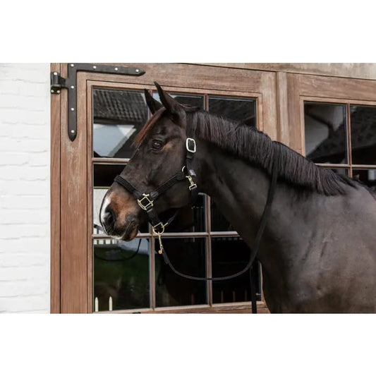 Boomerang Equestrian - Kentucky Plaited Nylon Halter Black