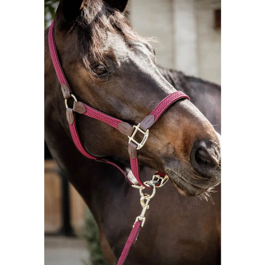 Boomerang Equestrian - Kentucky Plaited Nylon Halter Bordeaux