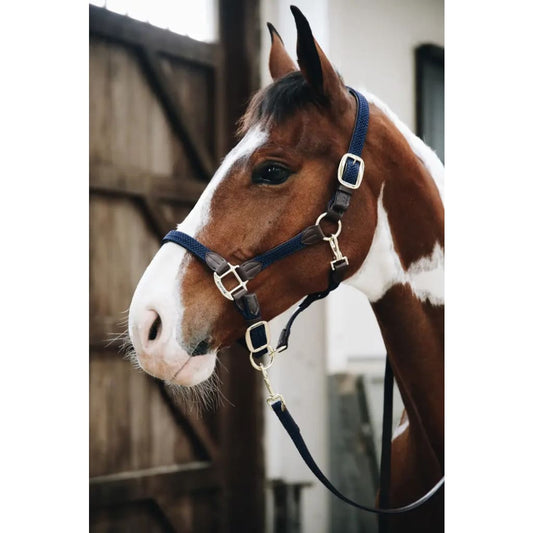 Boomerang Equestrian - Kentucky Plaited Nylon Halter Navy
