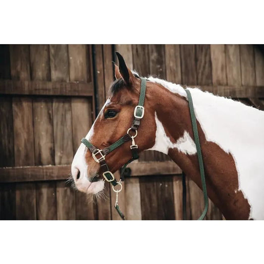 Boomerang Equestrian - Kentucky Plaited Nylon Halter Olive Green