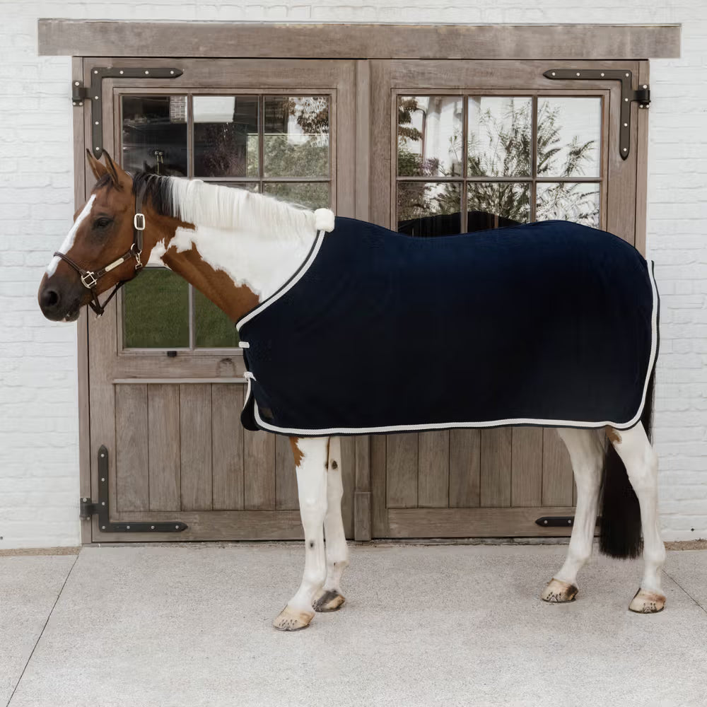 Horse wearing a navy rug in front of a wooden door