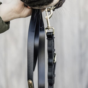 Boomerang Equestrian - Kentucky Presentation Lead Black