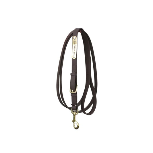 Boomerang Equestrian - Kentucky Presentation Lead Brown