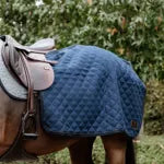 Horse wearing a quilted saddle blanket with a green field and trees in the background