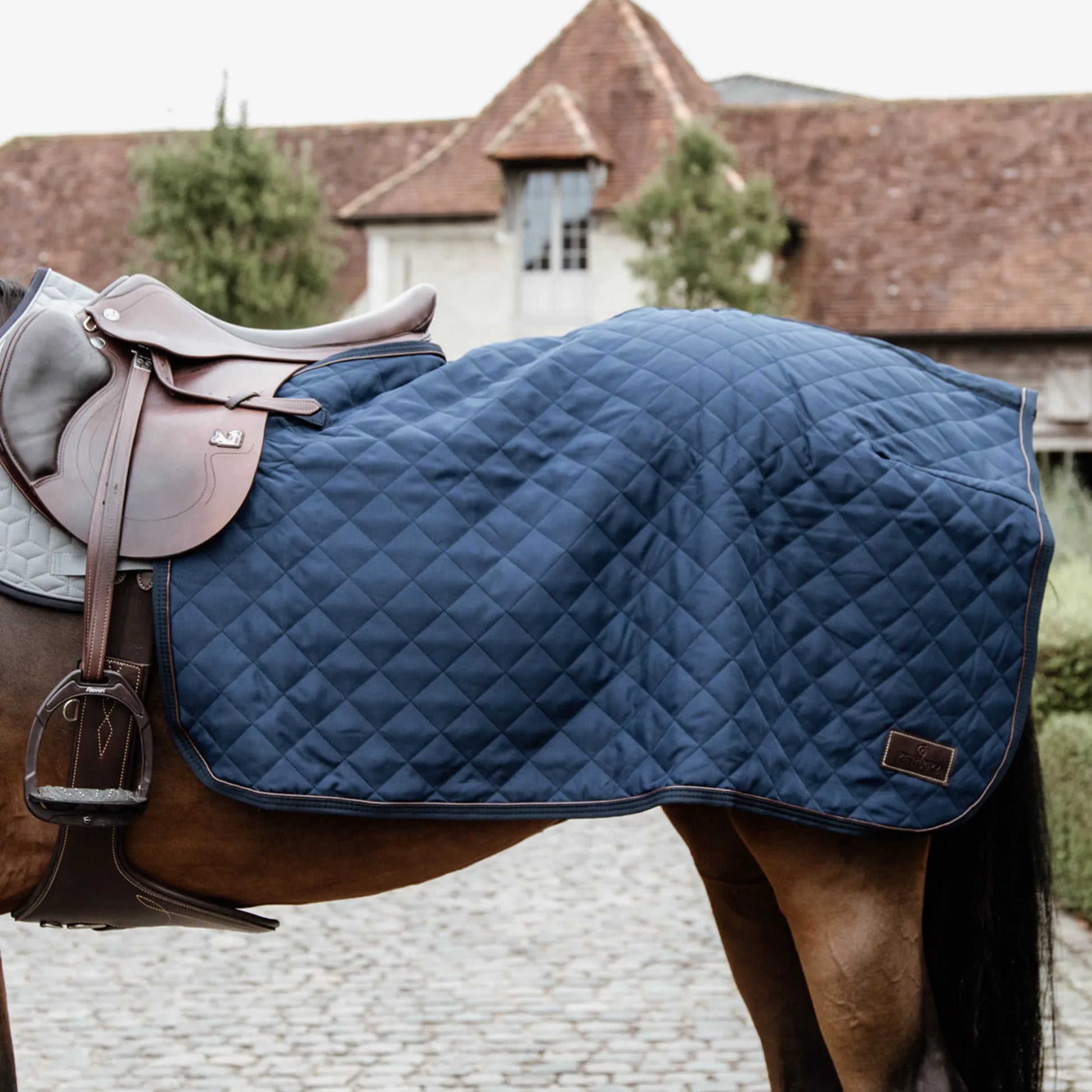 Horse wearing a blue quilted saddle blanket with a brown leather saddle.