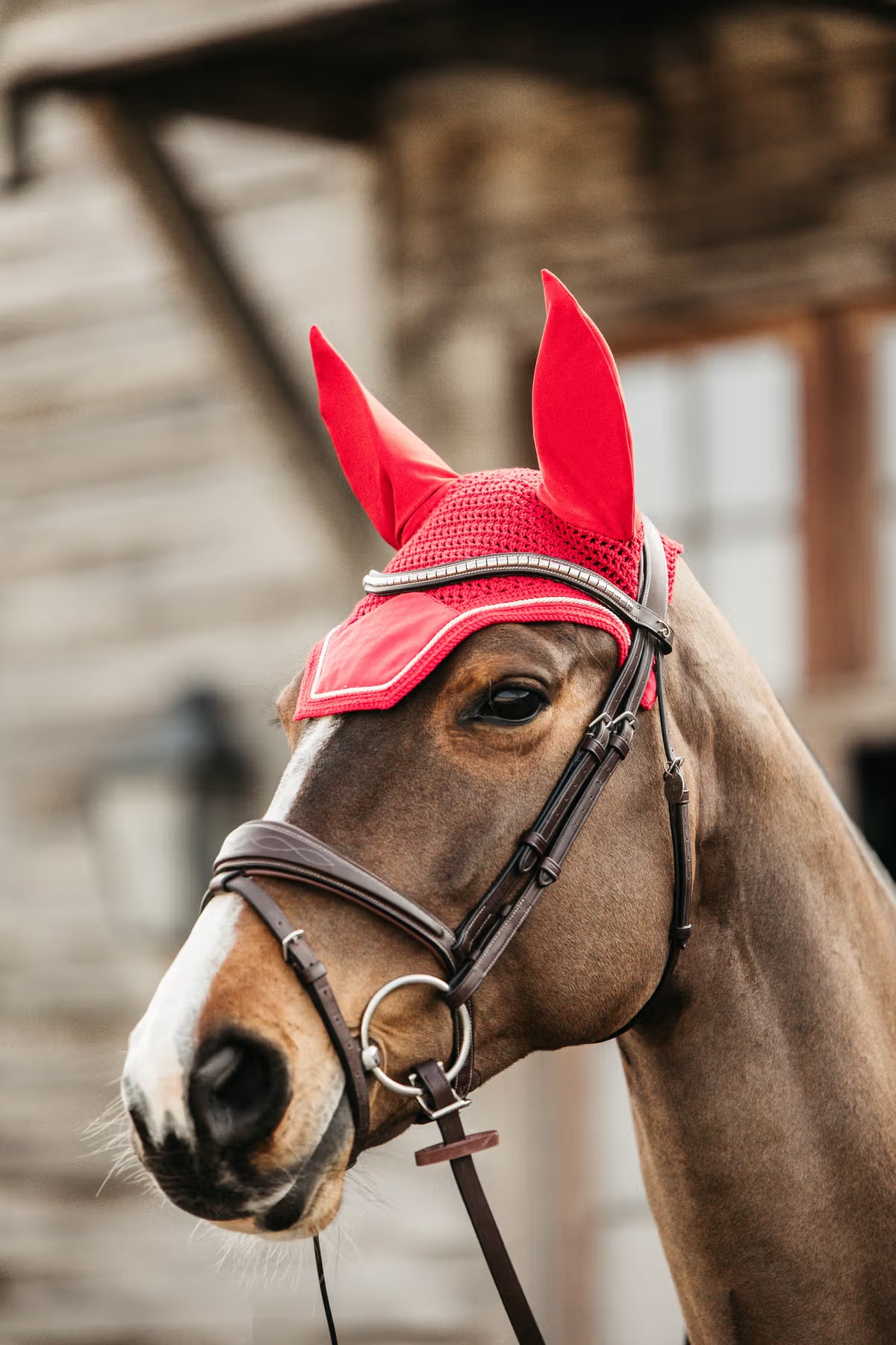 Horse wearing a red hood with ears, standing in front of a wooden stable.
