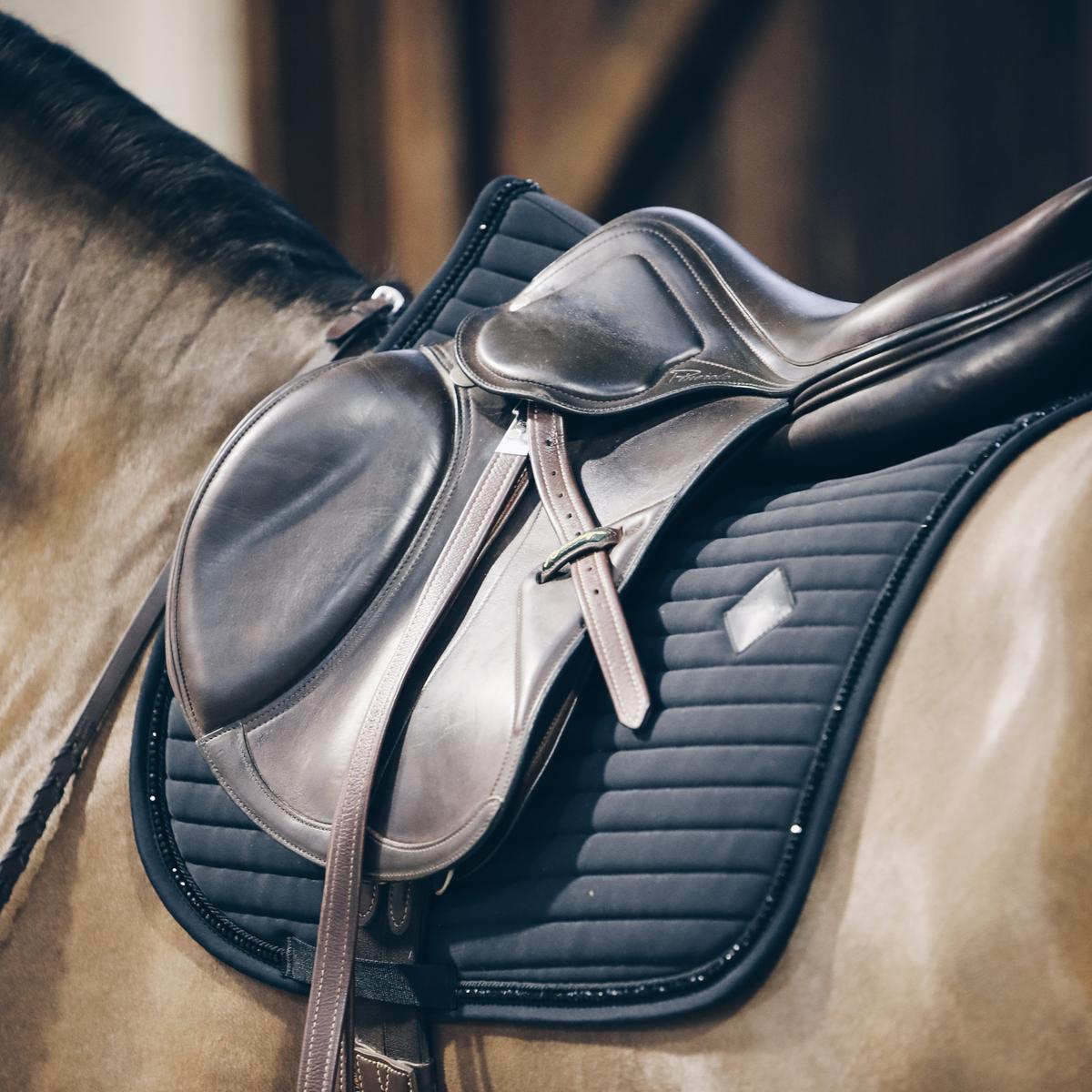 Close-up of a horse saddle and blanket on a horse