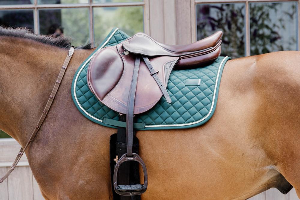 Horse with a teal saddle and brown leather saddle pad.