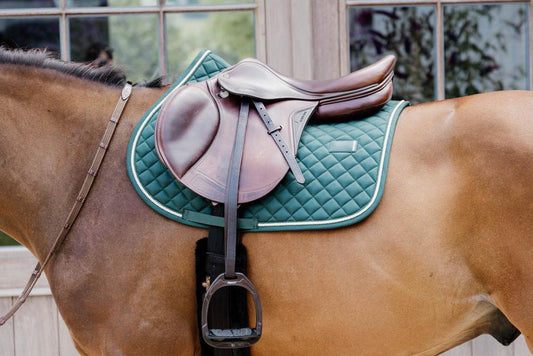 Horse with a teal saddle and brown leather saddle pad.