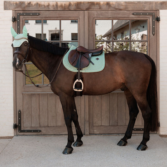 A dark brown horse stands in front of wooden stable doors wearing a light mint green horse blind and a matching saddle pad with a dark brown leather saddle and silver stirrups.