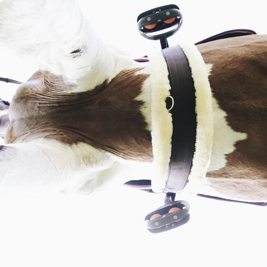 Boomerang Equestrian - Kentucky Sheepskin Girth Brown