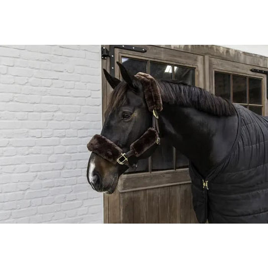 Boomerang Equestrian - Kentucky Sheepskin Halter Set 4 Pieces Brown