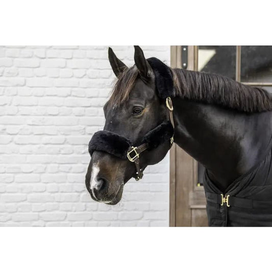 Boomerang Equestrian - Kentucky Sheepskin Halter Set 4 Pieces Black