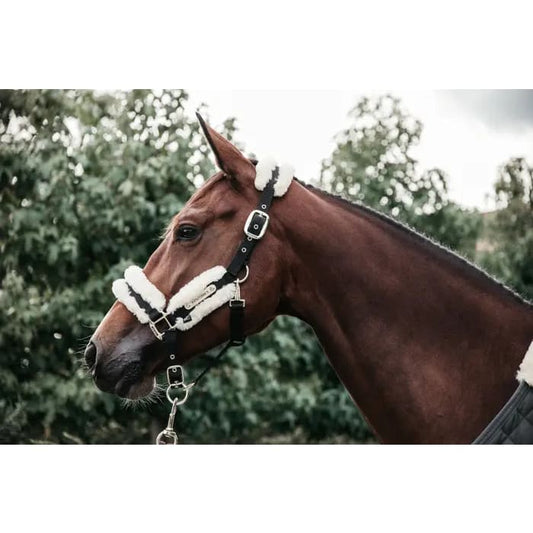 Boomerang Equestrian - Kentucky Sheepskin Nylon Halter Natural