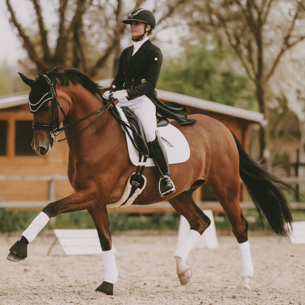 Equestrian rider on a brown horse in an outdoor setting